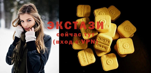 стаф Инта