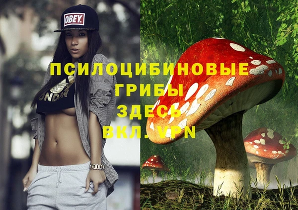твердый Пестово