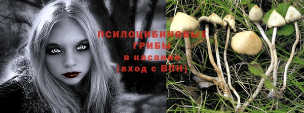 метамфетамин Сатка