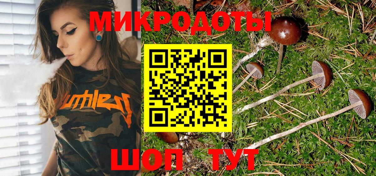 Урюпинск  Галлюциногенные грибы прущие грибы  Вход с VPN 