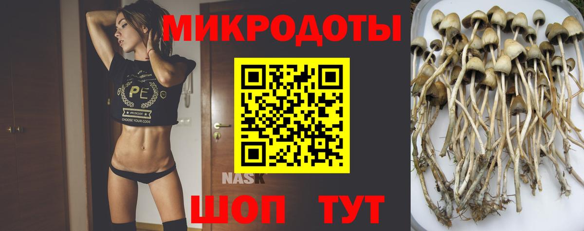 Урюпинск  Вход с VPN  Круглые  Мяу-Мяу  Бошки Шишки  Канабис  МДМА 